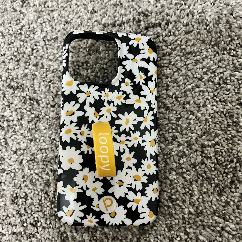 Loopy case